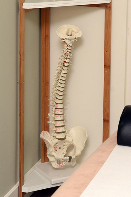 wervelkolom praktijk Osteopaat Haarlem